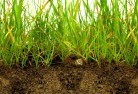 Cornwallsub-soil-drainage-6.jpg; ?>
